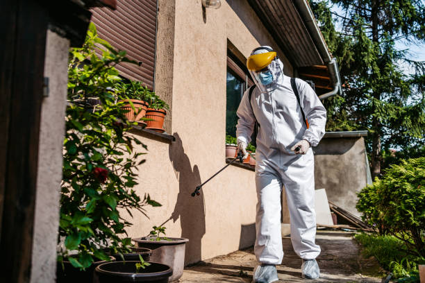 Best Best Pest Control Companies  in Pojoaque, NM