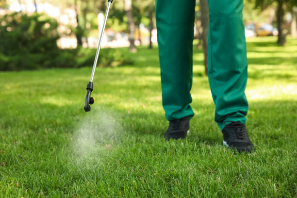 Best Pest Control Near Me  in Pojoaque, NM