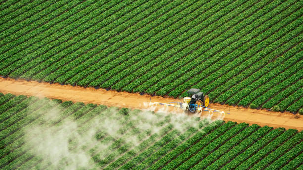 Best Mosquito Control Services  in Pojoaque, NM