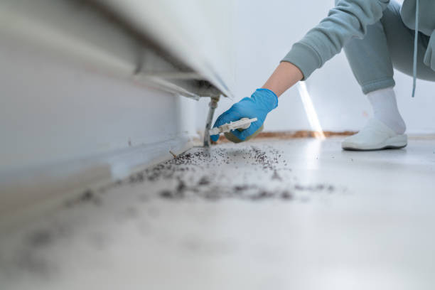 Best Pest Inspection Near Me  in Pojoaque, NM